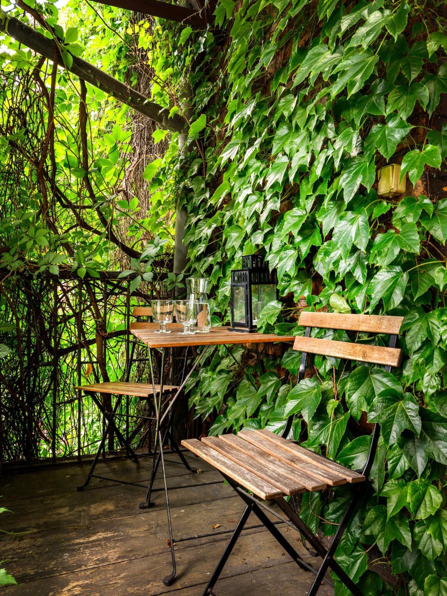 Tyzenhauz Grand Apartaments 크라쿠프 외부 사진